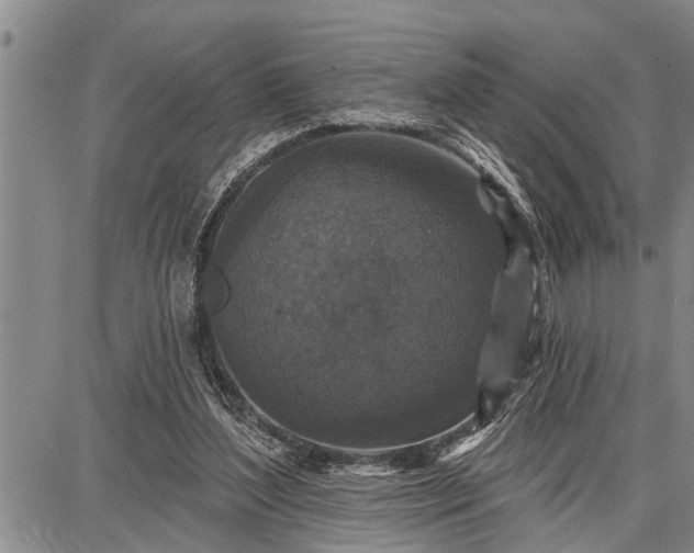 X0000087680204200705181738