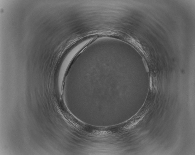 X0000087680205200705181738