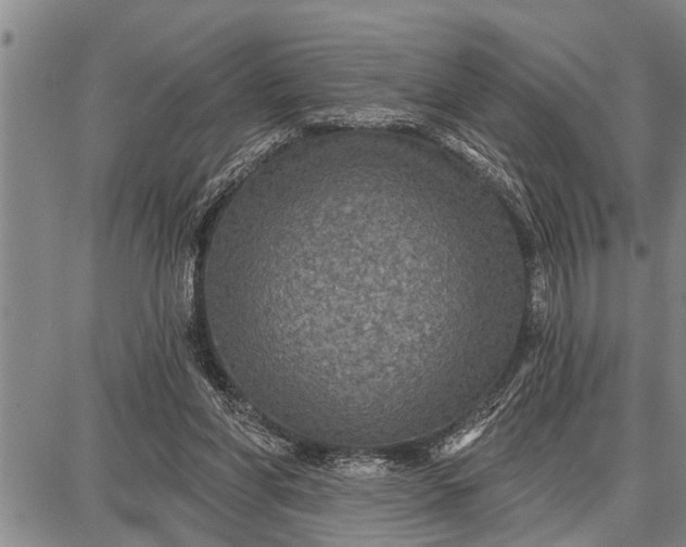 X0000087680206200705181738