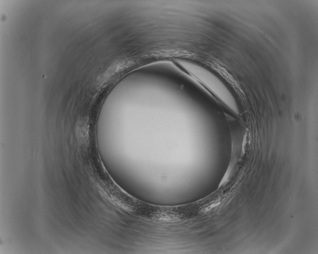 X0000087680207200705181738