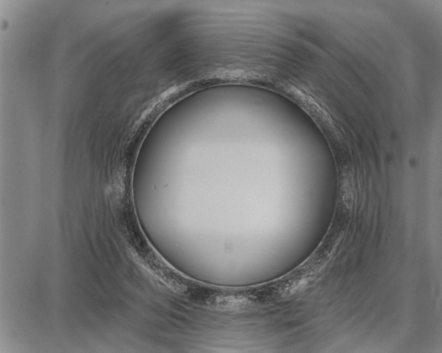 X0000087680208200705181738