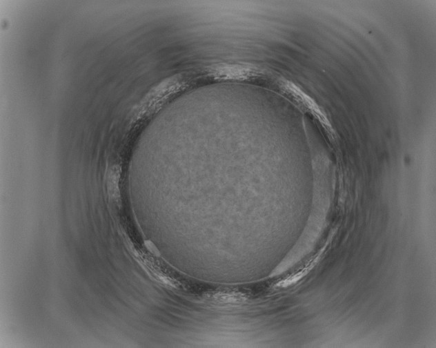 X0000087680209200705181738