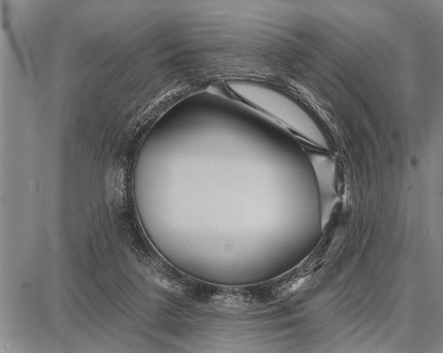 X0000087680211200705181738