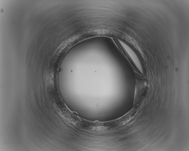 X0000087680212200705181738