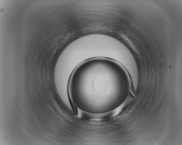 X0000087680213200705181738