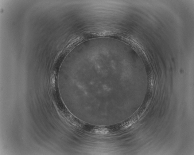 X0000087680214200705181738