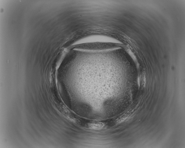 X0000087680215200705181738