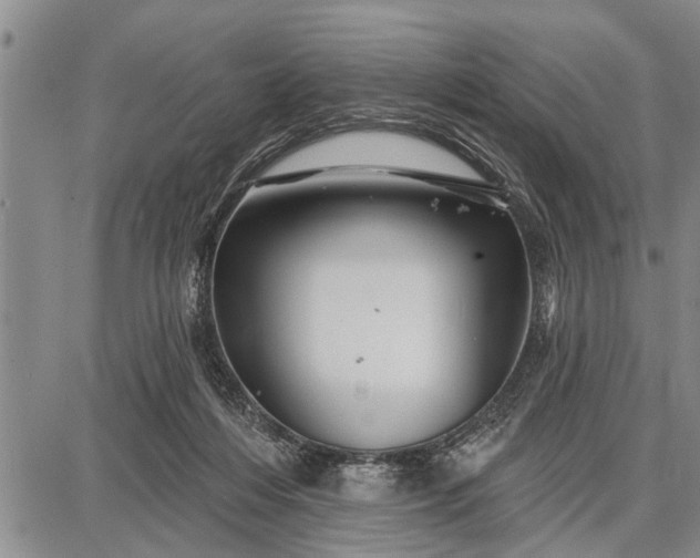 X0000087680216200705181738