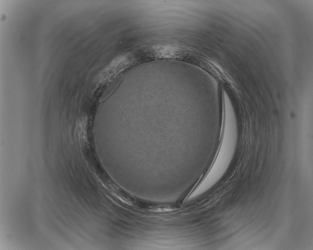 X0000087680217200705181738