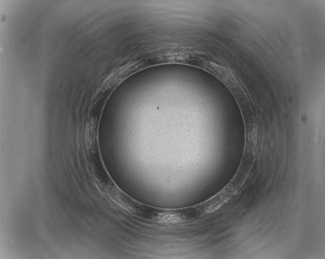 X0000087680218200705181738