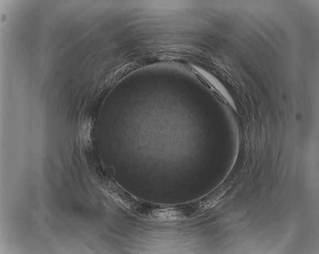 X0000087680219200705181738