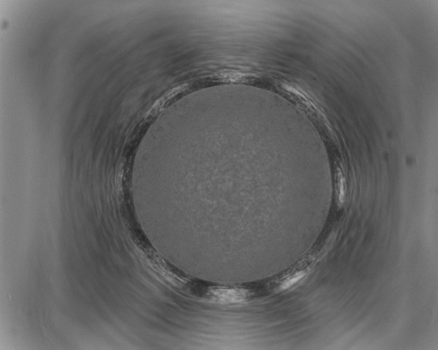 X0000087680221200705181738