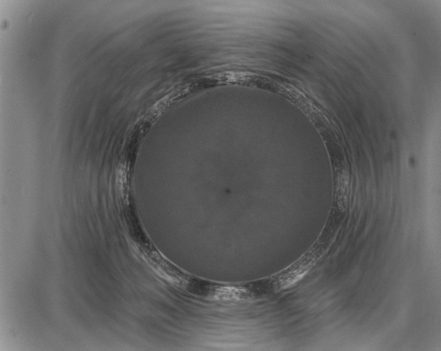 X0000087680222200705181738