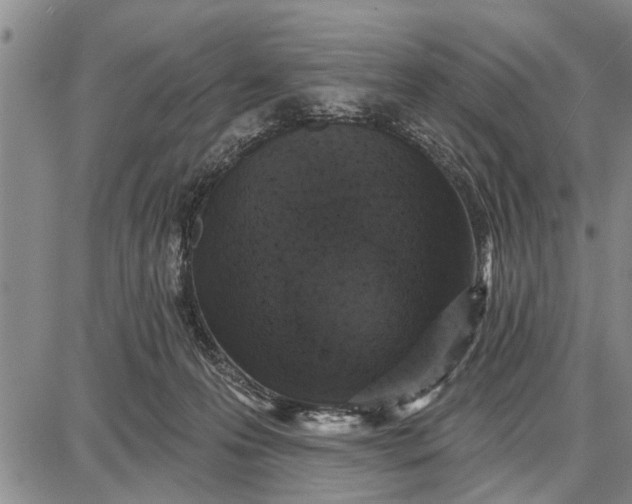 X0000087680223200705181738