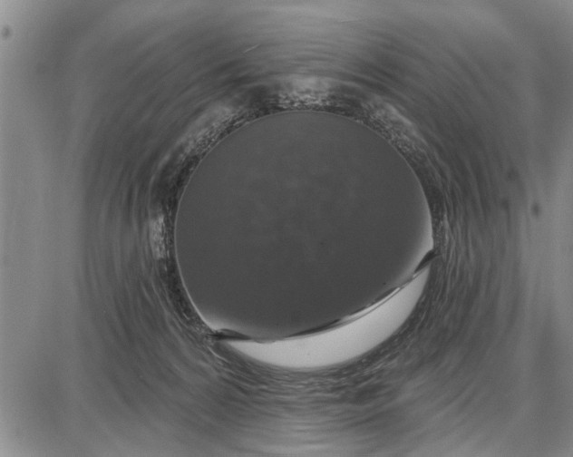 X0000087680224200705181738