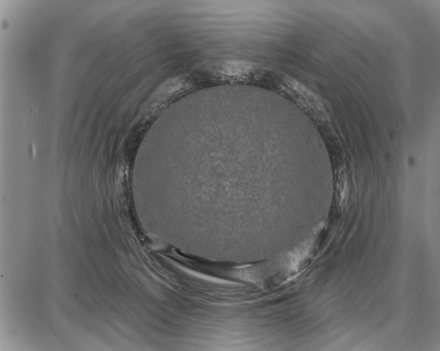 X0000087680225200705181737