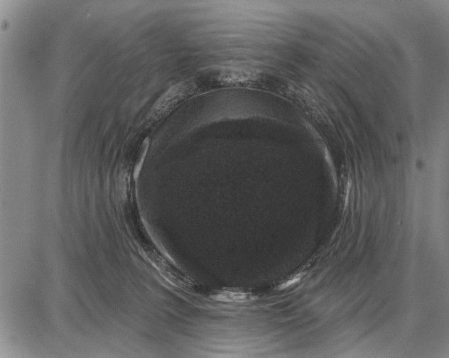 X0000087680227200705181737