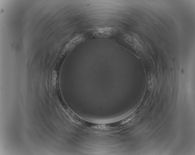 X0000087680231200705181737