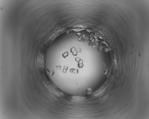 X0000087680234200705181737