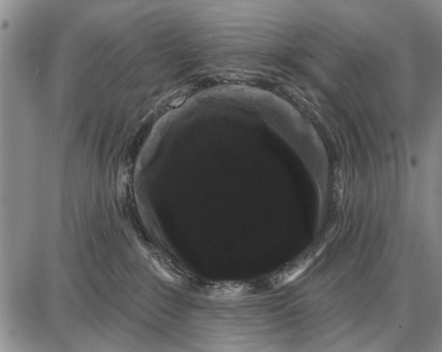 X0000087680235200705181737