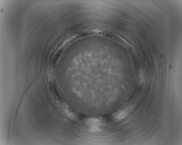 X0000087680236200705181737