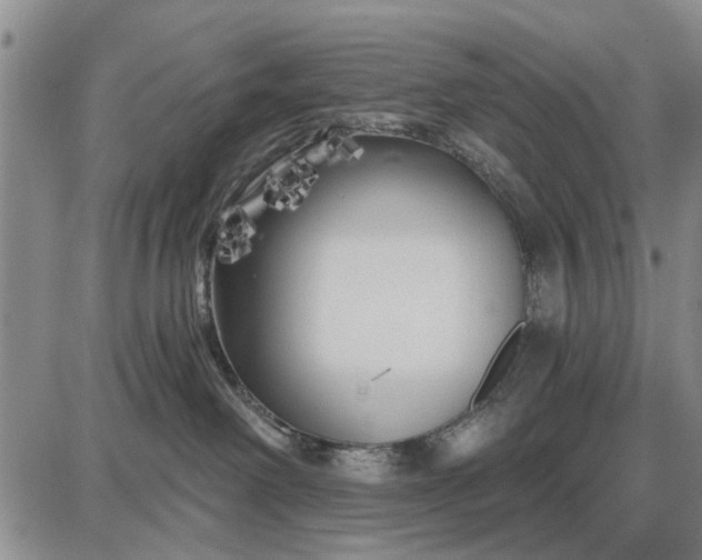 X0000087680238200705181737