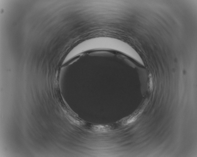 X0000087680239200705181737