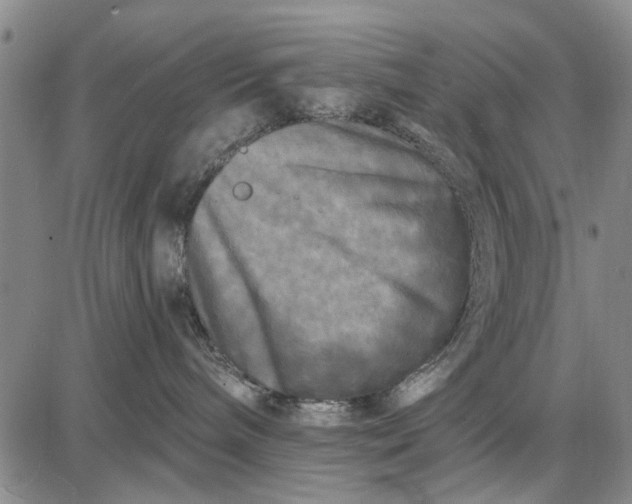 X0000087680240200705181737