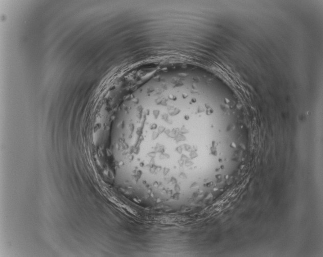 X0000087680241200705181736