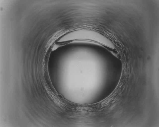 X0000087680242200705181736