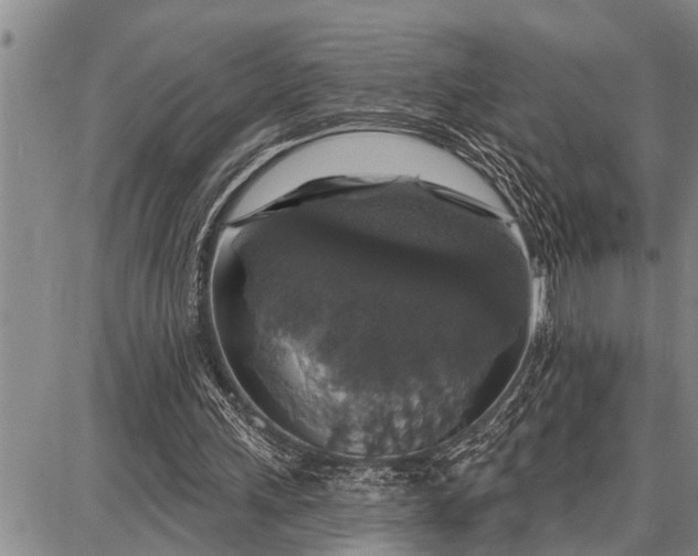 X0000087680243200705181737