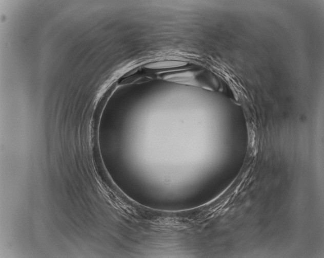 X0000087680244200705181737