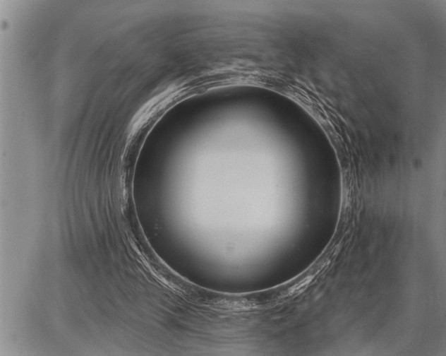 X0000087680245200705181737