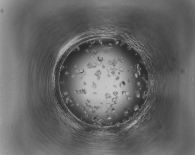 X0000087680246200705181737