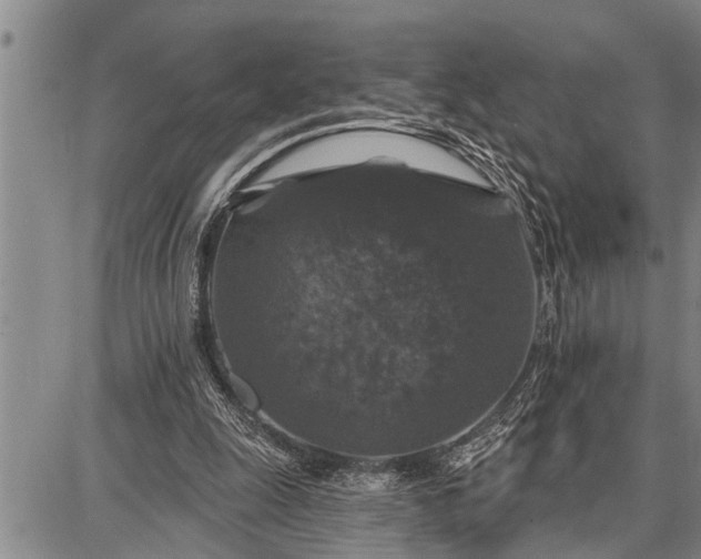 X0000087680247200705181737