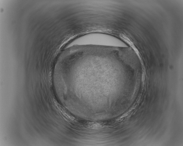 X0000087680249200705181737