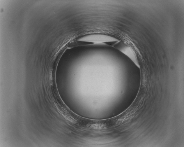 X0000087680251200705181737