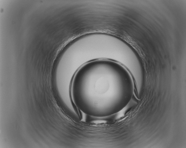 X0000087680252200705181737