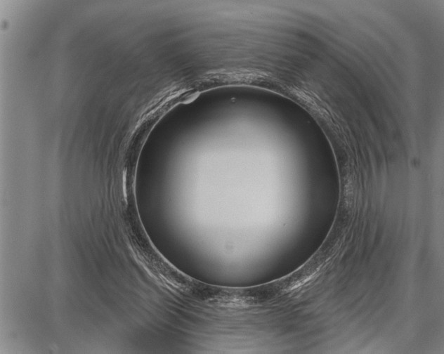 X0000087680254200705181737