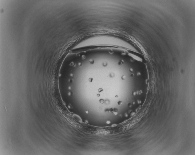 X0000087680257200705181737