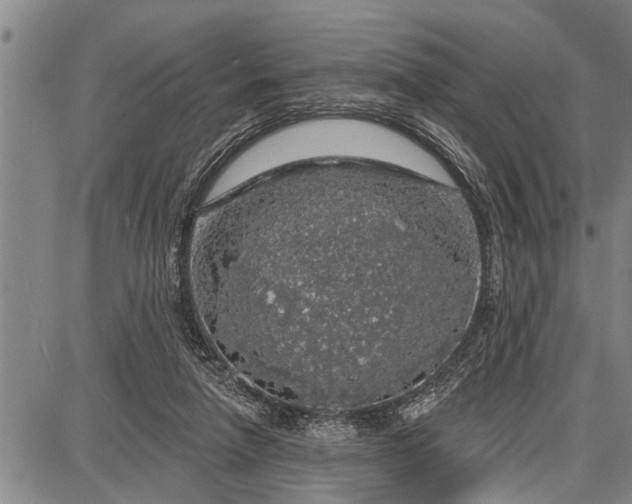 X0000087680258200705181737