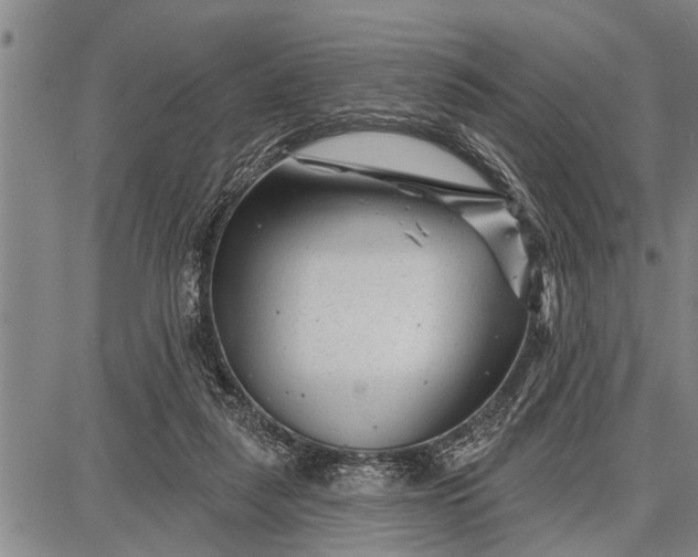 X0000087680259200705181737