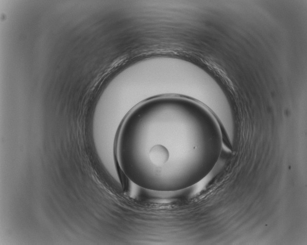 X0000087680260200705181737