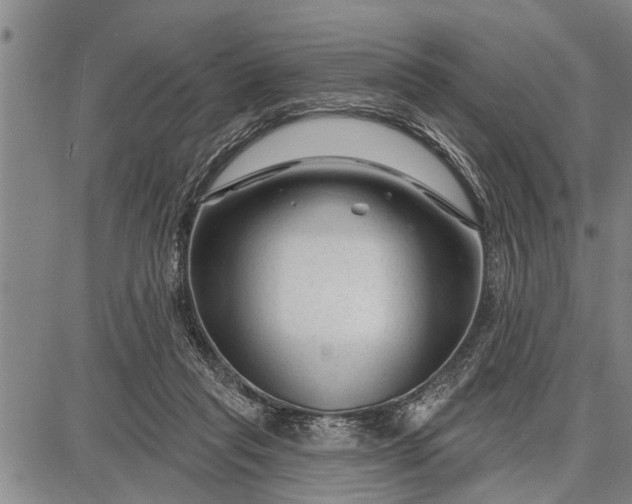 X0000087680261200705181737