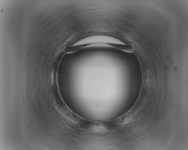 X0000087680262200705181737