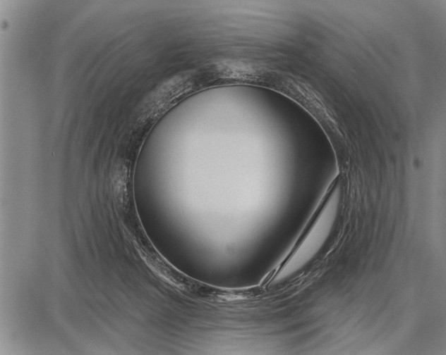 X0000087680265200705181737