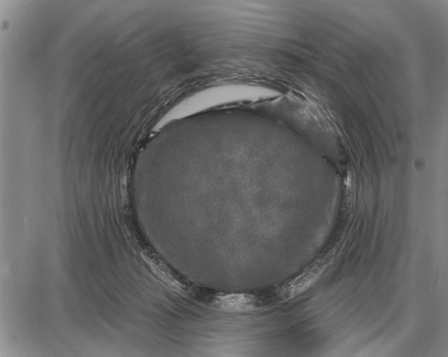 X0000087680269200705181737