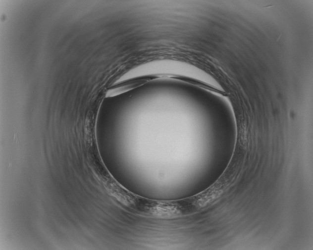 X0000087680270200705181737