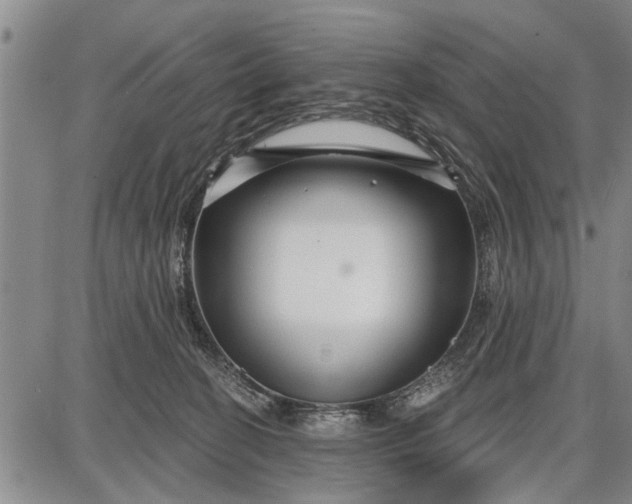 X0000087680274200705181737