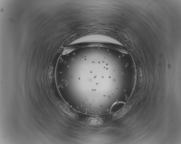 X0000087680275200705181737